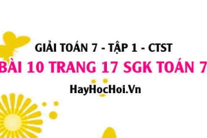 Giải bài 10 trang 17 Toán 7 Tập 1 SGK Chân trời sáng tạo